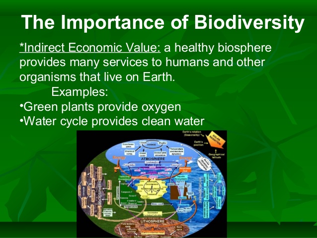 indirect value of biodiversity example